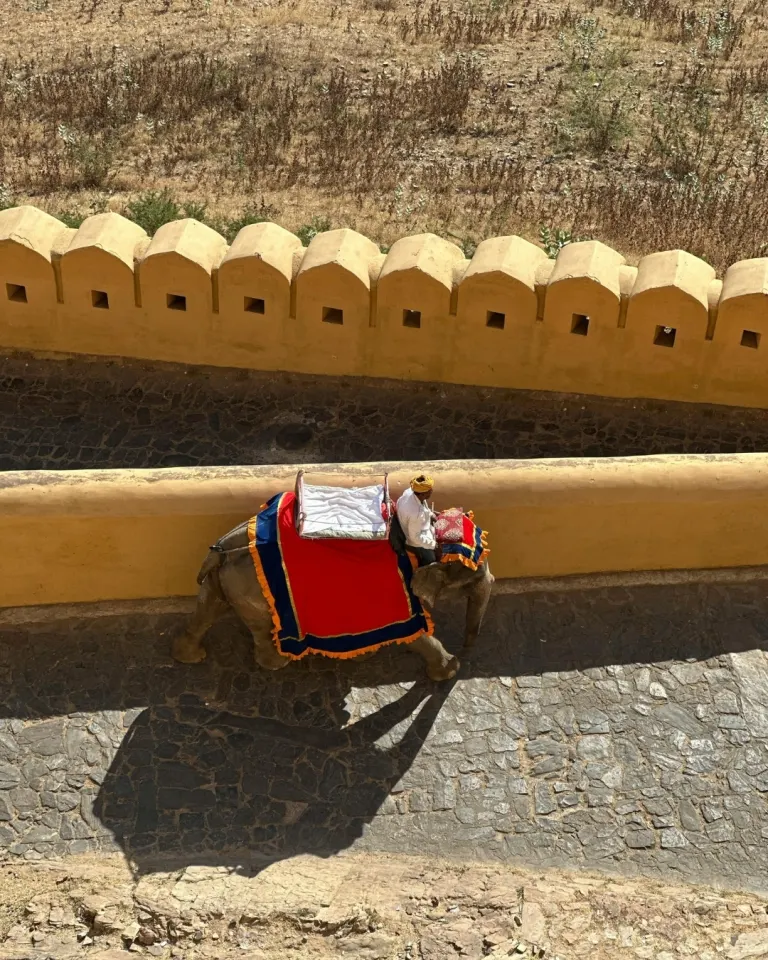 Jaipur Forts and Palaces