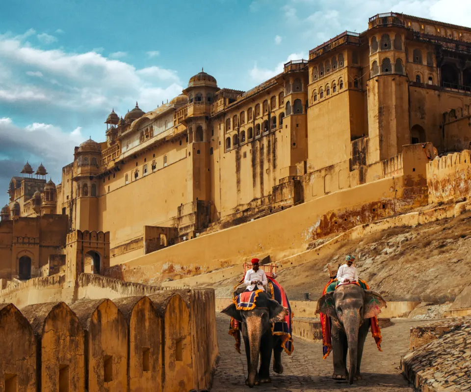 Decorated elephants carrying riders along the stone ramp leading to Amber Fort