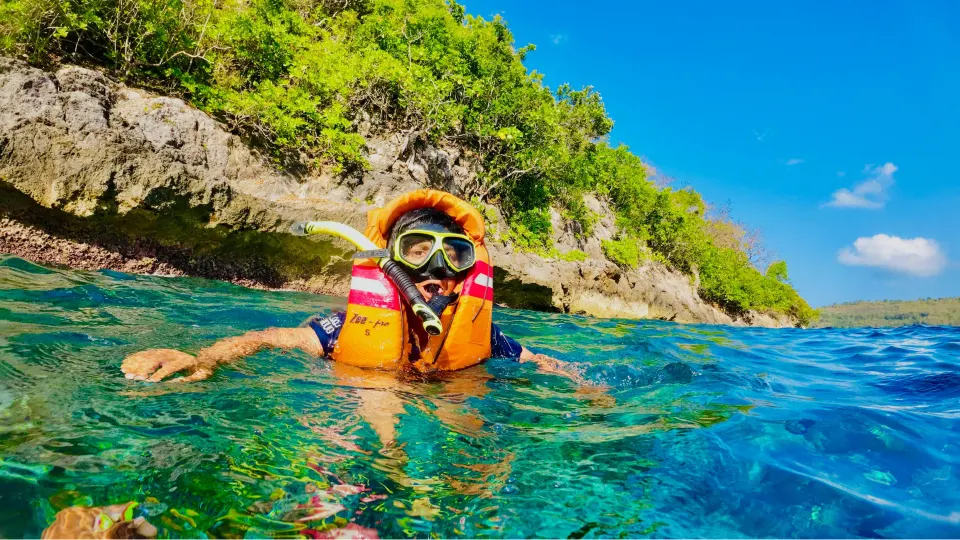 snorkeller floating near rocky shoreline with coral reef around ross island
