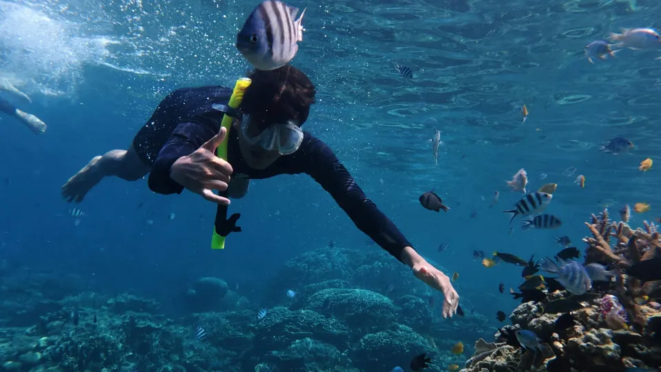 Elephant Beach Snorkelling