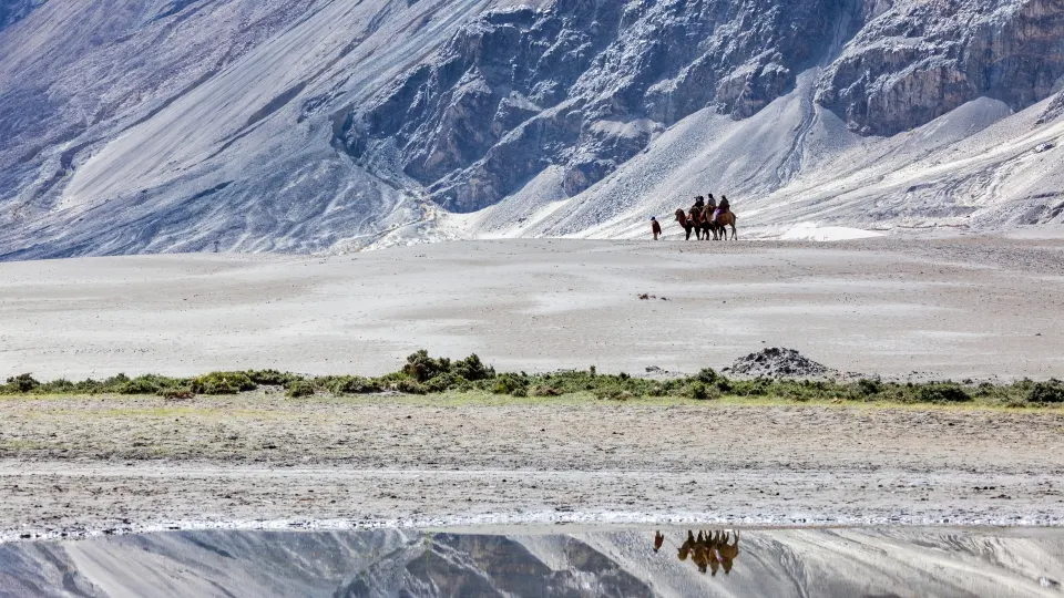 Camel caravan crossing a high-altitude desert plain in Ladakh