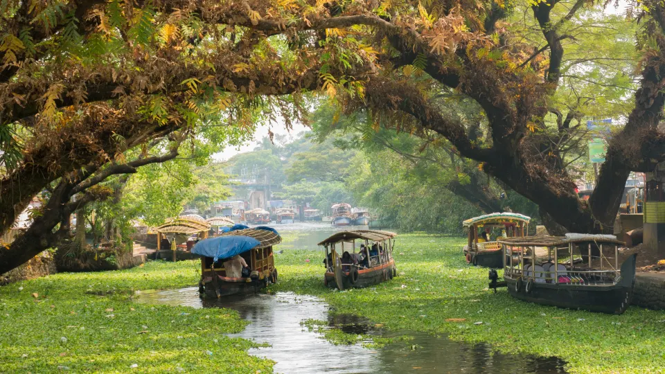 Country boats navigating narrow canals in the Alappuzha backwaters, Kerala