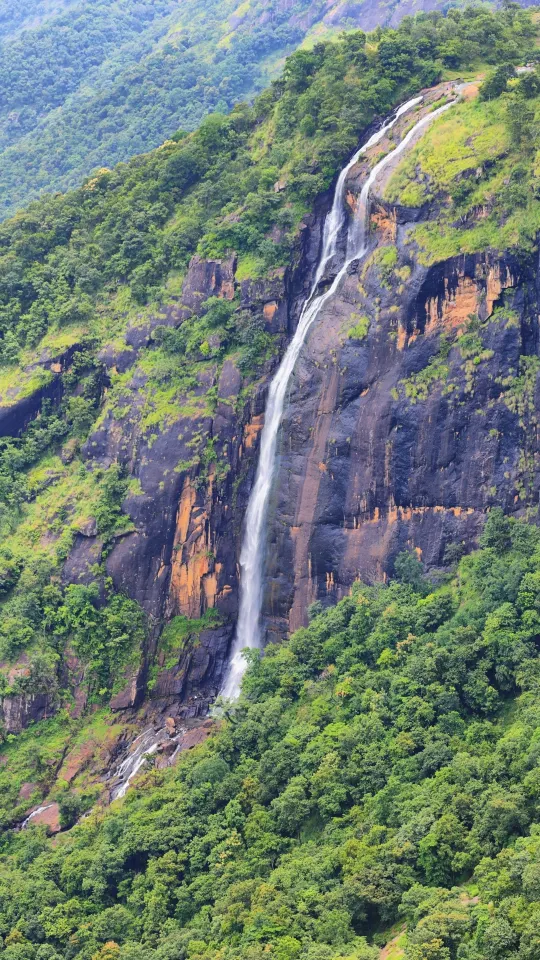 narrow waterfall flowing through forested rock face near thekkady