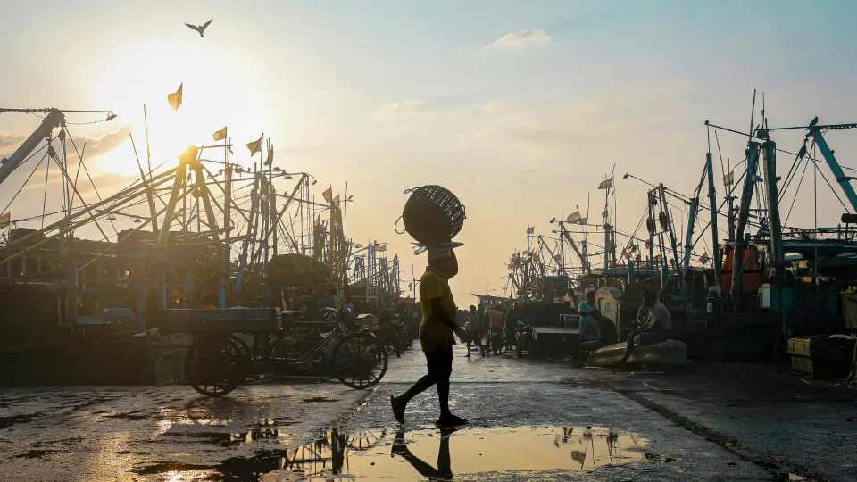 Silhouette of a person walking through Chennai’s fishing harbour at sunset