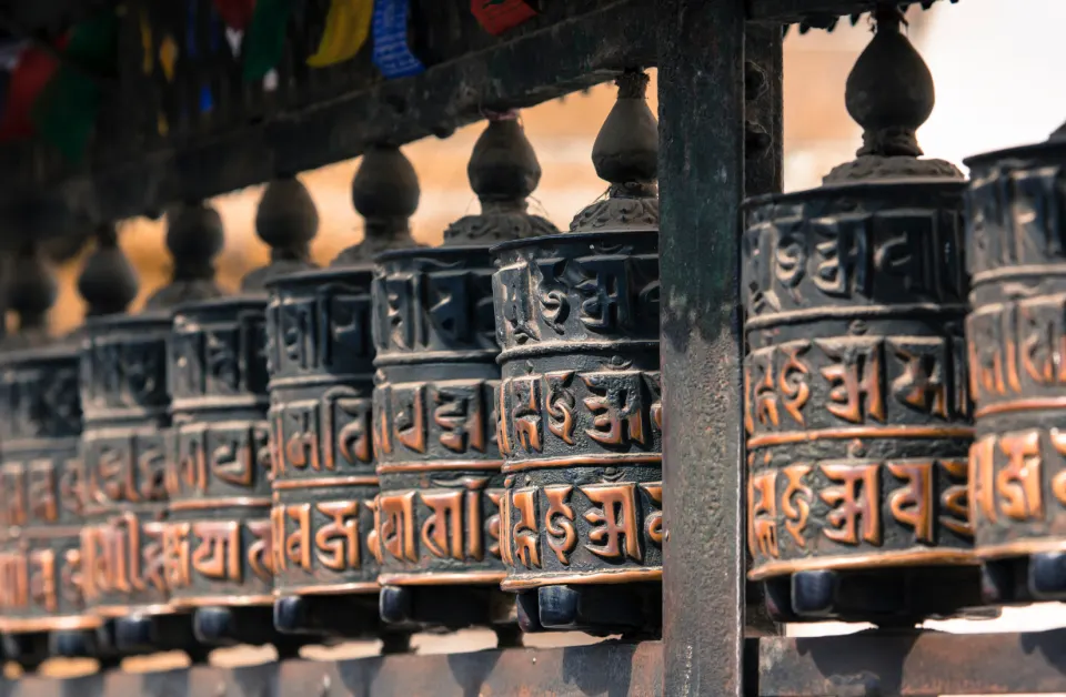 Chitwan at Ease