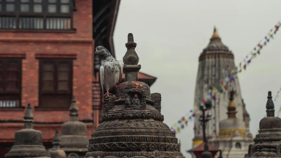 Fly to Kathmandu