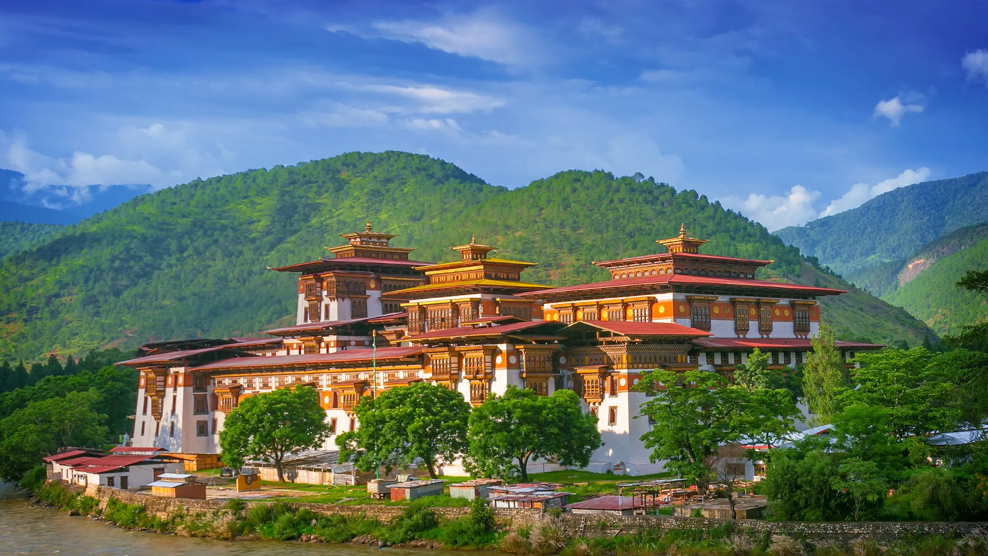 Punakha Dzong standing white-walled at the confluence of two rivers, jacaranda trees along the bank