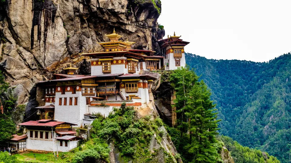 A striking view of Tiger’s Nest Monastery built into a cliff face above dense forest