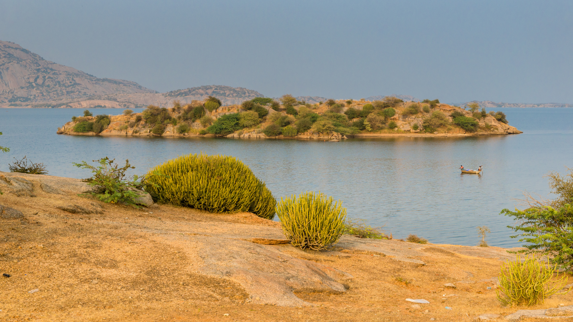 The Jawai Signature Circuit