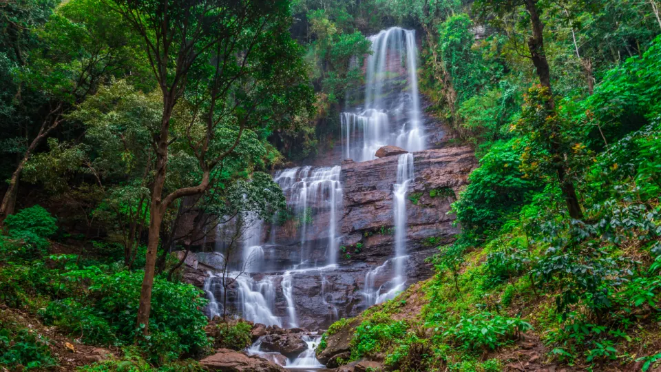 Multi‑tiered Jhari Waterfalls cascading down rock layers surrounded by dense green forest