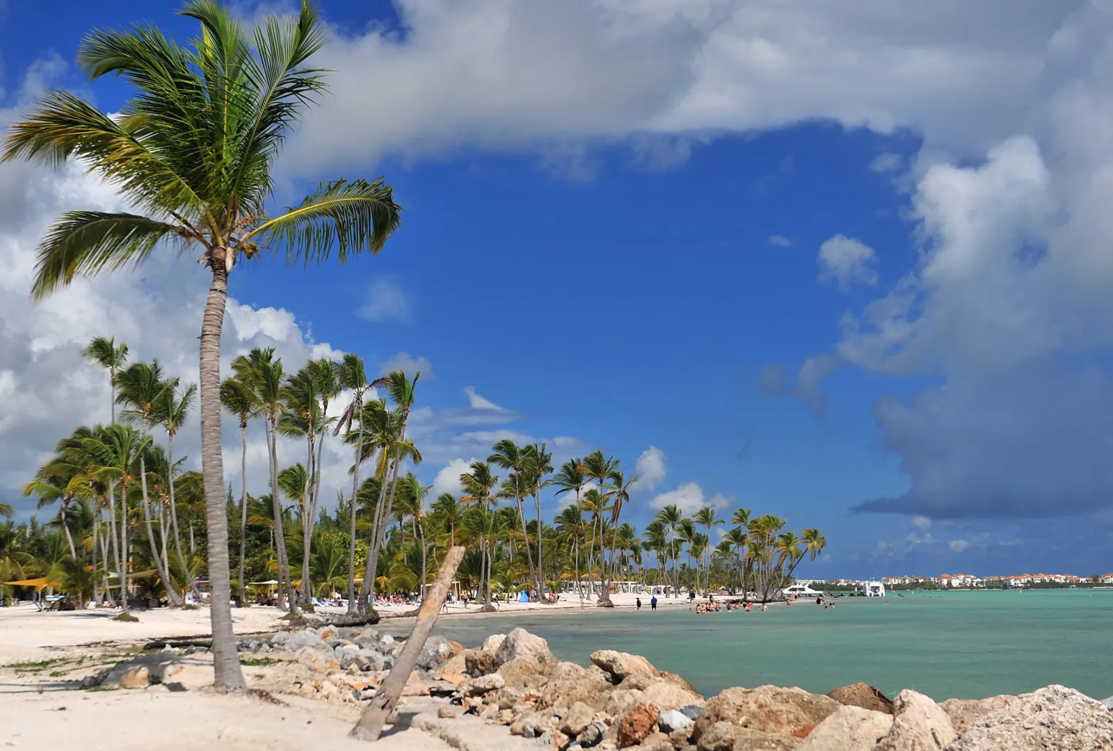A palm‑lined Lakshadweep beach with white sand, rocks, and shallow turquoise waters