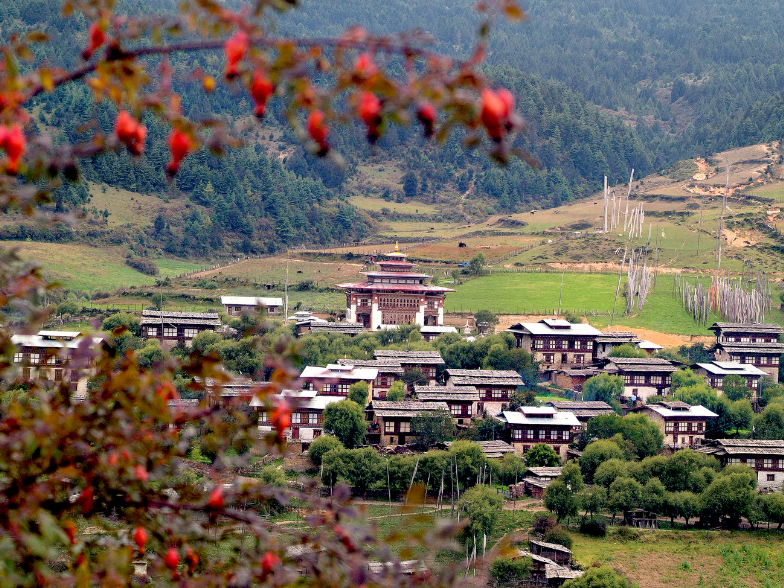Blog image