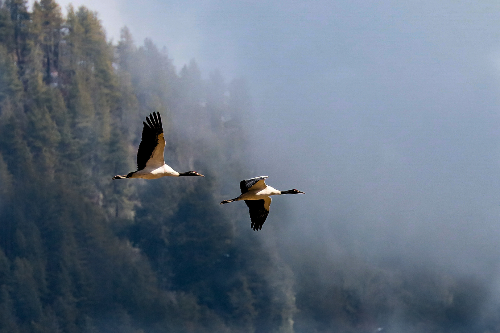 Bhutan in Comfort: The Lodge Circuit - Signature
