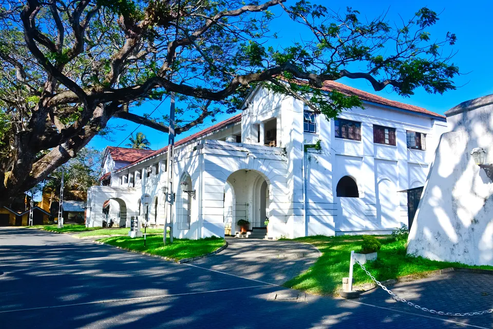 Nuwara Eliya to the South Coast