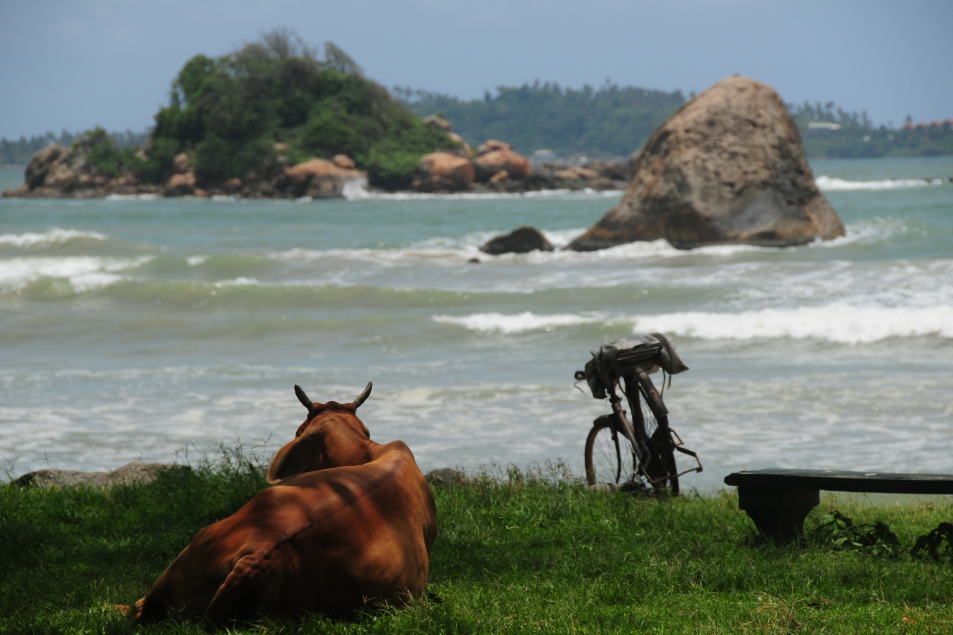 Essential Sri Lanka: Cultural Triangle, Hills & South Coast - Signature