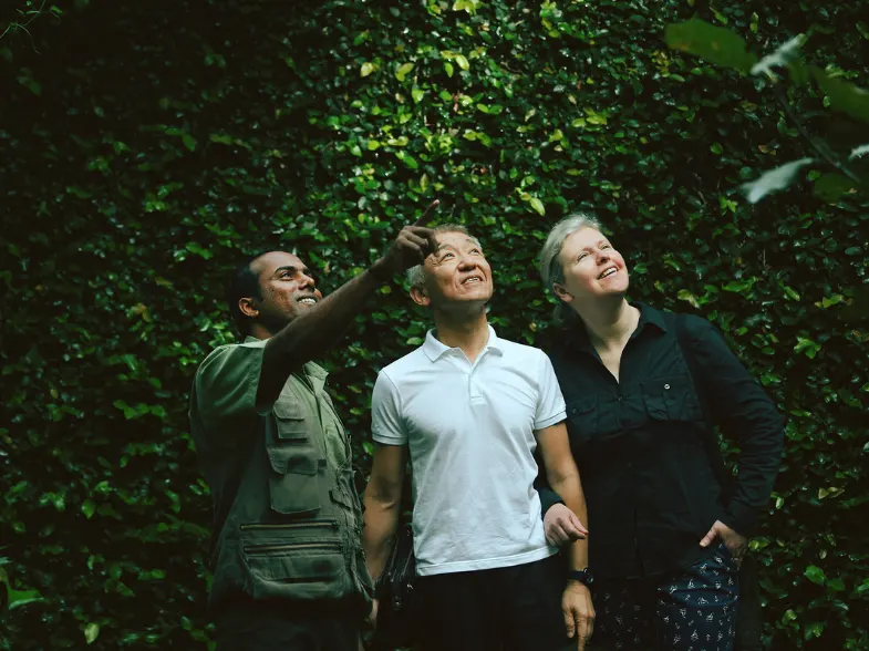 Naturalist guide pointing into the forest while two travelers observe the canopy