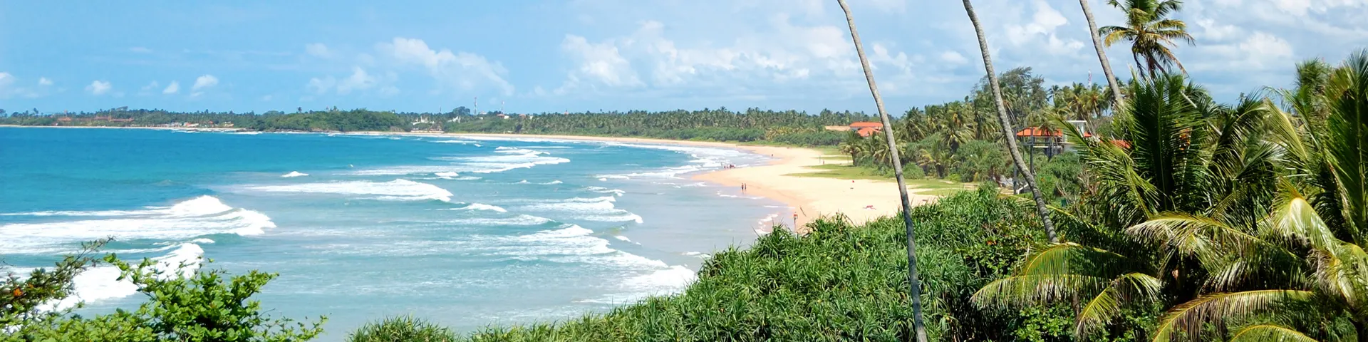 Best Time to Visit Sri Lanka: How to Choose the Right Coast and Route